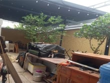 Hình ảnh Đang cần cho thuê mặt bằng 7x20m 22tr/th đường Bưng Ông Thoàn, Quận 9