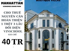 Hình ảnh Cho thuê Biệt thự đối diện Vinschools diện tích đất 275m2 giá 40tr/th