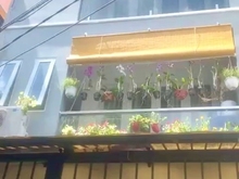 Hình ảnh Cực rẻ!! Nhà 3 tầng, 85m2 - 7PN, đường Điện Biên Phủ, ngay Hàng Xanh