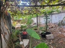 Hình ảnh TIN THẬT:Lô đất 70m2,cách đường 494 30m,không QH,mộ Tăng Nhơn Phú A,Q9