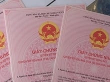Hình ảnh Cần Trang MB66.COM Chính Thức - MB 66 Uy Tín đất quận Tân Bình - chính chủ.