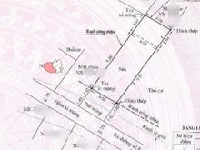 Hình ảnh TIN THẬT:Đất thổ 4x16,Không QH,mộ đường 8, Linh Xuân,Thủ Đức
