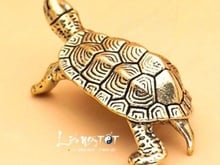 Hình ảnh 🍍 Trung Tâm Emart - Dương Quảng Hàm - bán đất tặng dãy trọ view sông
