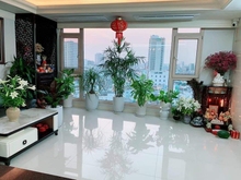 Hình ảnh Chủ nhà gửi bán Trang Chủ MB66.COM / Đăng Ký Tặng 66K cao cấp Cantavil Hoàn Cầu, Bình Thạnh 120m2 3pn