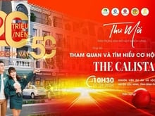Hình ảnh Dự án đang sốt mấy ngày vừa qua – The Calista Lộc An chỉ 320tr/nền