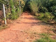Hình ảnh Cần bán lô đất 1743m2, mặt đường 46m, gần trường, chợ, view hồ Trị Ann