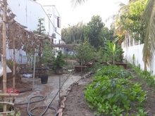 Hình ảnh Bán đất ngay sông Tắc, Tam Đa, Q9, 270m2, làm nhà vườn nghỉ dưỡng.