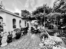 Hình ảnh Định cư cần bán 200m2 biệt thự cổ sân vườn Trường Sơn P.15 Quận 10