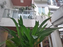 Hình ảnh Bán nhà phân lô Tây Thạnh 4x14, HXH TRÁNH + vỉ hè, giá 7.4 tỷ, dân trí