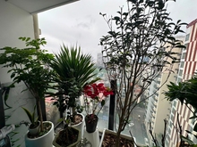 Hình ảnh Bán nhà phân lô khu đô thị mới Nam Trung Yên . Diện tích:75 m2, giá:2ỷ