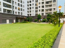 Hình ảnh Cho thuê chung cư cao cấp Saigonsouth gần Rmit, Tôn Đức Thắng giá rẻ