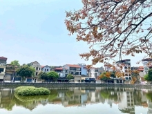 Hình ảnh Bán nhà Bồ Đề, ngõ thông ô tô tứ phía, 55m2, giá 7,78 Tỷ
