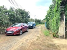 Hình ảnh Kẹt tiền bán gấp vườn mít 1000m2, đường hiện hữu, điện trước đất