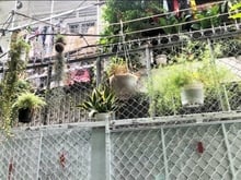 Hình ảnh Nhà Phú Nhuận 9 triệu 3PN-2WC 🍄 DT 4,8 x 10m 💐 có Sân xe