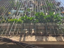 Hình ảnh Siêu phẩm Cầu Giấy - 1 nhà ra phố - phân lô nhà đẹp - 52m2 -nhỉnh 10tỷ