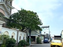 Hình ảnh Bán nhà 1/ Hiệp Bình Chánh 57m2 , Chợ Hiệp Bình, 30m ra mặt tiền đường