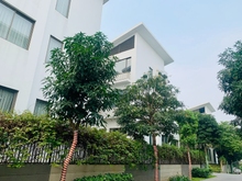 Hình ảnh Chính chủ bán biệt thự song lập trên đồi Khai Sơn Hill Long Biên 159m2