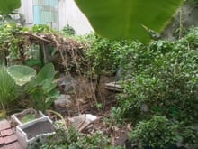 Hình ảnh Cần cho thuê lô đất 4x20m hẻm xe hơi Lã Xuân Oai (Gần ĐH Tài Chính)