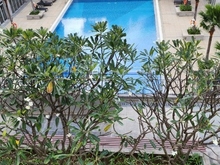 Hình ảnh bán Trang Chủ MB66.COM / Đăng Ký Tặng 66K Duplex Star Hill tại Quận 7