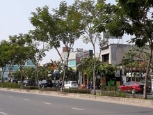 Hình ảnh Bán nhà MT khu Trần Não, P An Khánh, Q2. Ngang 7.5m giá 52 tỷ