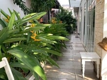 Hình ảnh Cần cho thuê gấp BT sát bờ sông gió mát quanh năm, view đẹp