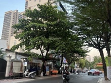 Hình ảnh Bán nhà Thảo Điền ngay khu sang 4x17m T3L giá 20 tỷ cho thuê 50tr/th
