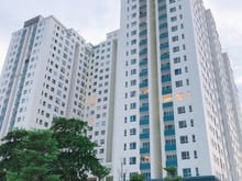 Hình ảnh SHARE phòng chung cư DREAM HOME PALACE