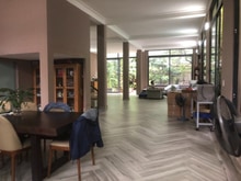 Hình ảnh Villa 400m2. Ở hoặc làm Văn Phòng. Khu Yên tĩnh, dân trí cao. LH ngay