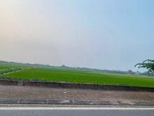 Hình ảnh Đất tái định cư Giang Biên, view triệu đô, ở sướng