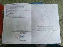 Hình ảnh Bán đất Tuân Lề, Tiên Dương, 80.5m, MT4.3m, đất bìa làng