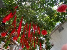 Hình ảnh Mua bán nhà riêng 75m2, Ngang 5m - Hẻm Ô Tô,Ngay Nguyễn Xiển-Chỉ từ 3T