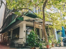 Hình ảnh Lô góc phố Nguyễn Du, 50m2 x 5 tầng, Mặt tiền 5m (cho thuê)