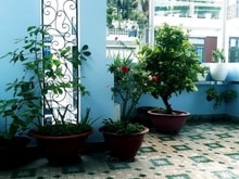 Hình ảnh Bán nhà trệt 2 lầu đường làng tăng phú , p.tnpa , quận 9