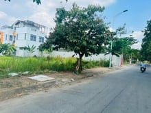 Hình ảnh Sang 2 Nền Sát Chợ Đầu Mối Thủ Đức Gần Cầu Vĩnh Bình. Gía 1ty9