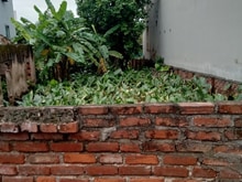 Hình ảnh Cực Hiếm. Bán đất Phúc Lợi Long Biên 40m2 3.4tỷ oto đỗ cách 15m vỉa hè