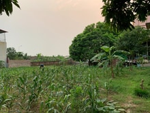 Hình ảnh Cho Thuê Đất 500m2 Tại Thôn Đông, Đào Viên, Quế Võ, Bắc Ninh