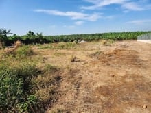 Hình ảnh Bán 1 sào, xã Thanh Bình, huyện Trảng Bom