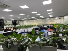 Hình ảnh Cho thuê địa chỉ đăng ký GPKD, văn phòng ảo các quận trên TP HCM