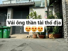Hình ảnh Nhà 1tx2l,hẻm xe hơi,linh xuân,thủ đức,giá 9,2 tỷ/355m2,thu nhập 35TR