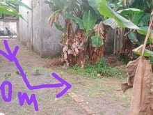 Hình ảnh Cc cần bán mảnh đất 40.3m2, tk2, nhỉnh 1 tỷ, an thắng, biên giang, hà