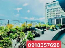 Hình ảnh Cần bán gấp Penhouse Riverpark Residence, phú mỹ hưng, quận 7