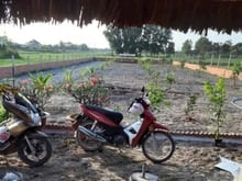 Hình ảnh Chính chủ cần bán lô đất vườn MT oto 500m2 Giá 1ti2 SHR X.TLT H.Củ Chi