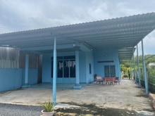 Hình ảnh Bán nhà vườn đường Phan Thị Vẽ - 1057m2 - 10x83 nở hậu 15.5 - 83m2 thổ
