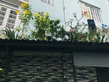 Hình ảnh Giảm sập sàn, Quận 3, 55m2 , 4 tầng , 6 PN