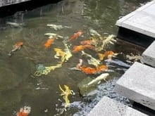 Hình ảnh Bán gấp biệt thự đẹp 3 tầng gần sông bán đảo Thanh Đa Bình Qưới 380m2