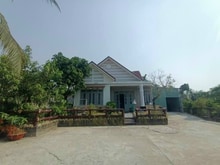 Hình ảnh Củ Chi, Bán nhà Vườn Bình Mỹ TL9, DT 1557m2, Chỉ 13 tỷ