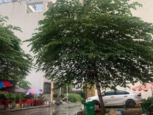 Hình ảnh Dòng tiền cực tốt. Huỳnh Tấn Phát Quận 7 - 60m2 - giảm còn 8.6 tỷ