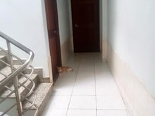 Hình ảnh bán gấp nhà Hẻm ba gác Phan Tây Hồ P.7 Phú Nhuận 69m2, 4PN, 5 tỷ9