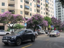 Hình ảnh Gấp gấp gấp!!! quận cầu giấy, 20m ra mặt phố đông quan, diện
