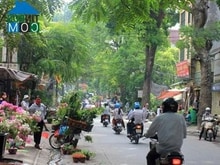 Hình ảnh Cho thuê nhà mặt phố HOÀNG HOA THÁM-BA ĐÌNH,150m x 2 tầng,Mặt tiền 15m